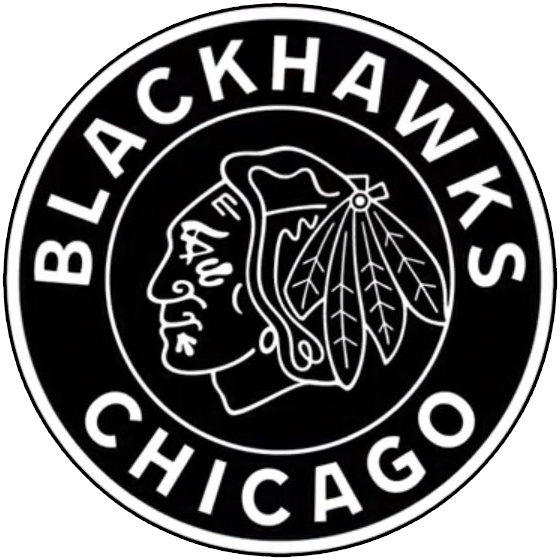 Chicago Blackhawks 2019 Special Event Logo DIY iron on transfer (heat transfer)